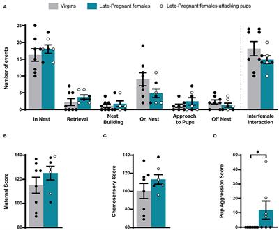 Pregnancy Changes the Response of the Vomeronasal and Olfactory Systems to Pups in Mice